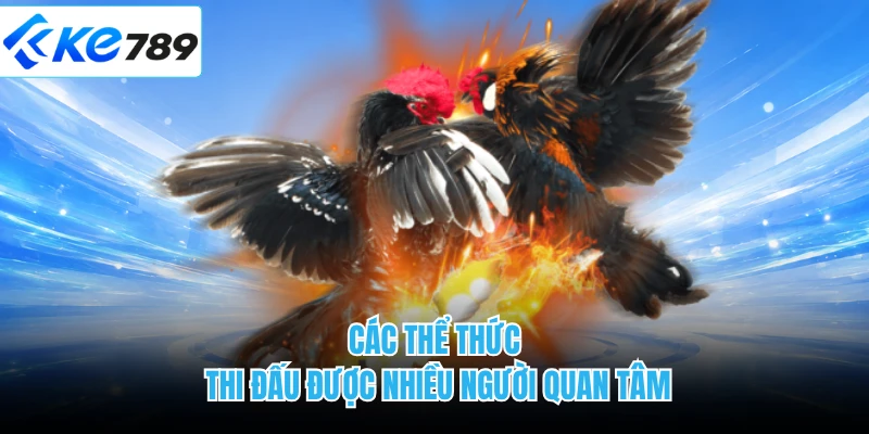 Các thể thức thi đấu được nhiều người quan tâm