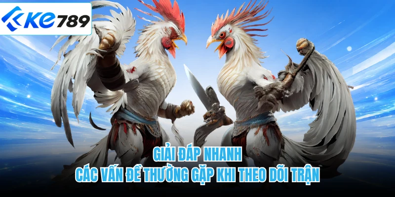 Giải đáp nhanh các vấn đề thường gặp khi theo dõi trận